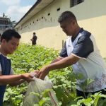 Lapas Purwodadi Panen Terong di Lahan Terbatas, Warga Binaan Diharap Dukung Program Ketahanan Pangan