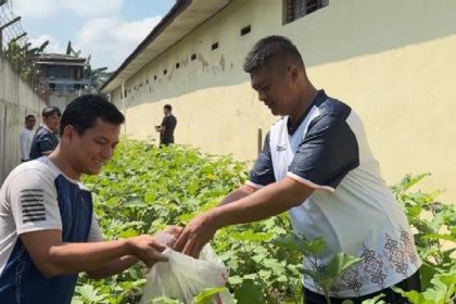 Lapas Purwodadi Panen Terong di Lahan Terbatas, Warga Binaan Diharap Dukung Program Ketahanan Pangan