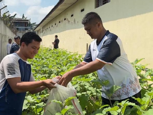 Lapas Purwodadi Panen Terong di Lahan Terbatas, Warga Binaan Diharap Dukung Program Ketahanan Pangan
