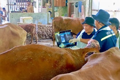 Jelang Hari Raya Idul Adha, Pemprov Jateng Perketat Pengawasan Pedagang Hewan Kurban