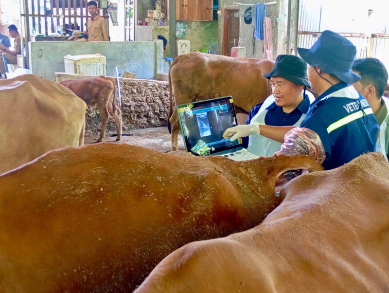 Jelang Hari Raya Idul Adha, Pemprov Jateng Perketat Pengawasan Pedagang Hewan Kurban