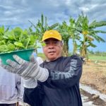 Rutan Situbondo Kembangkan Pertanian Tembakau untuk Bekal Warga Binaan
