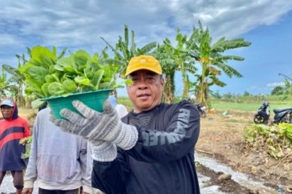 Rutan Situbondo Kembangkan Pertanian Tembakau untuk Bekal Warga Binaan