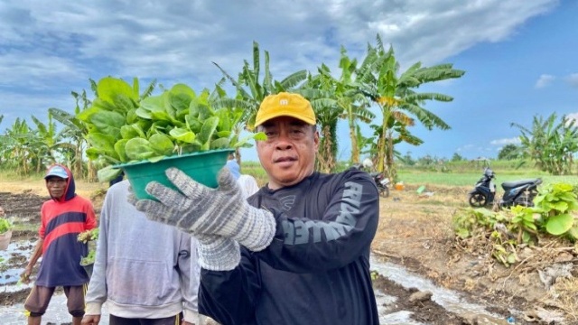 Rutan Situbondo Kembangkan Pertanian Tembakau untuk Bekal Warga Binaan