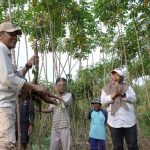 Penguatan Ketahanan Pangan Lokal Berbasis Pertanian Terpadu