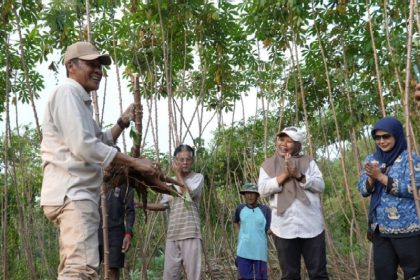 Penguatan Ketahanan Pangan Lokal Berbasis Pertanian Terpadu