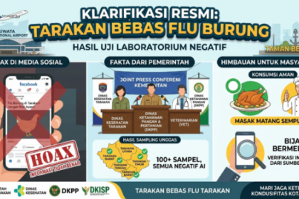 Beredar Isu Flu Burung dan Larangan Beli di Pasar Tertentu, Dinkes Kota Tarakan Sampaikan Klarifikasi