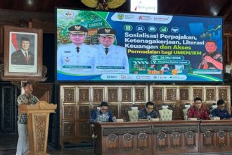 Dorong UMKM Naik Kelas, Pajak Pelaku Usaha Jadi Bagian Penting Pembangunan Daerah