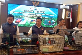 Konferensi pers kasus dugaan tindak pidana konservasi sumber daya alam hayati dan ekosistem yang digelar pada Senin sore (4/5/2026) di Mako Ditreskrimsus Polda Jateng. Foto: istimewa