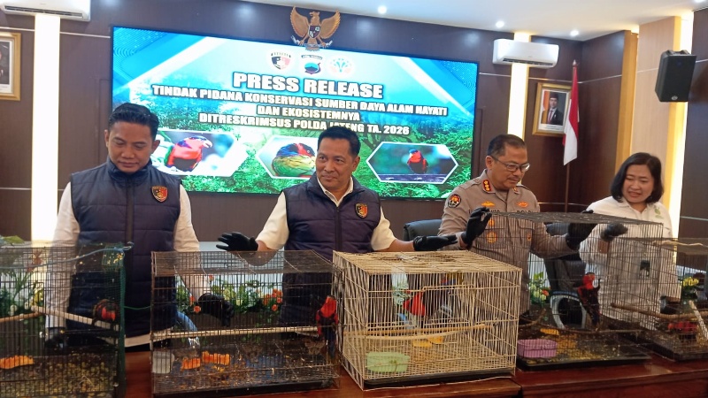 Konferensi pers kasus dugaan tindak pidana konservasi sumber daya alam hayati dan ekosistem yang digelar pada Senin sore (4/5/2026) di Mako Ditreskrimsus Polda Jateng. Foto: istimewa