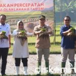 Produksi Gabah Tertinggi di Indonesia, Sukabumi Perkuat Swasembada Pangan Nasional