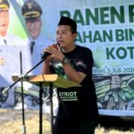 Panen Jagung Kedua di Lahan Sewaan, Wujud Komitmen Kuat GP Ansor Kota Semarang untuk Gerakan Patriot Ketahanan Pangan di Ibukota Jateng