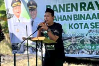 Panen Jagung Kedua di Lahan Sewaan, Wujud Komitmen Kuat GP Ansor Kota Semarang untuk Gerakan Patriot Ketahanan Pangan di Ibukota Jateng